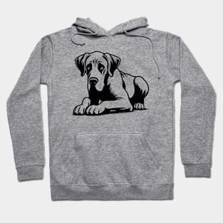 Great Dane Hoodie